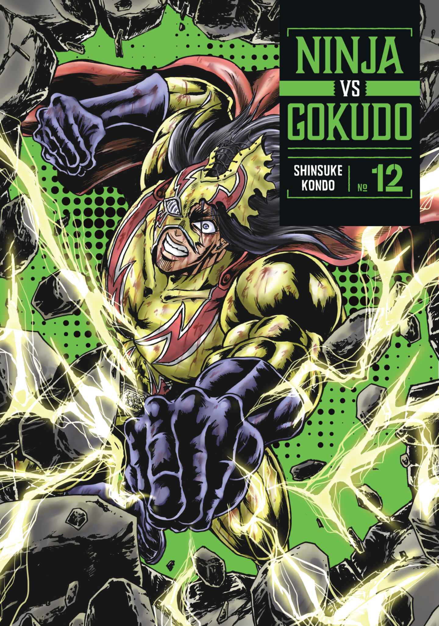 Ninja Vs. Gokudo, Volume 12