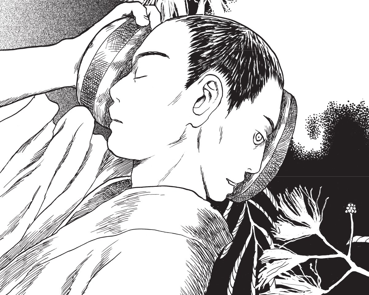 cover for Mushishi Collector's Edition