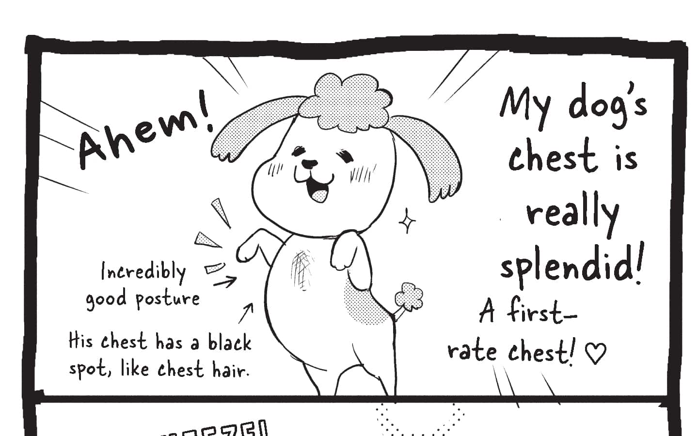 Hero Banner